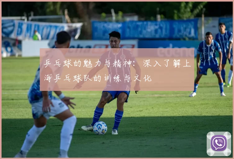 乒乓球的魅力与精神：深入了解上海乒乓球队的训练与文化