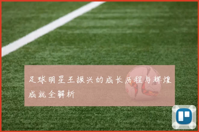 足球明星王振兴的成长历程与辉煌成就全解析