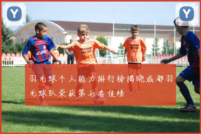 羽毛球个人能力排行榜揭晓成都羽毛球队荣获第七名佳绩