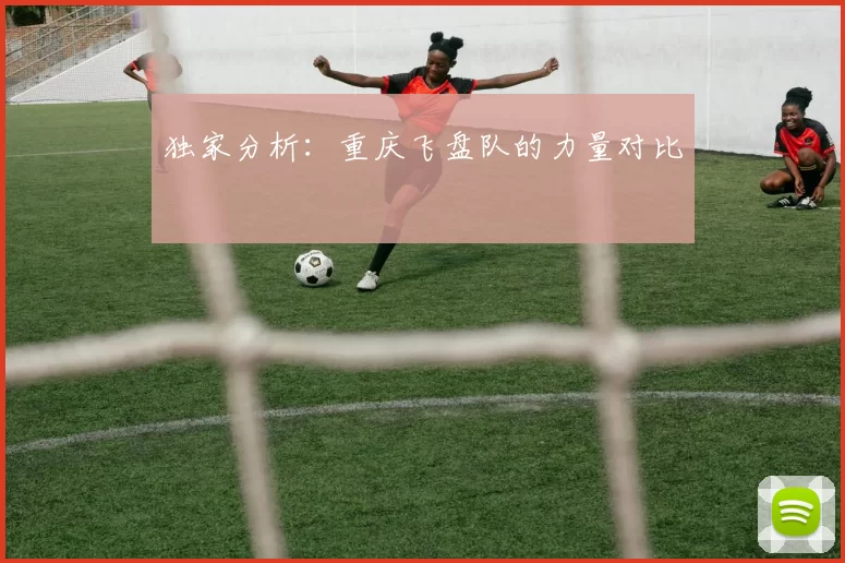 独家分析：重庆飞盘队的力量对比