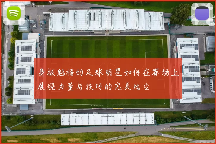 身板魁梧的足球明星如何在赛场上展现力量与技巧的完美结合