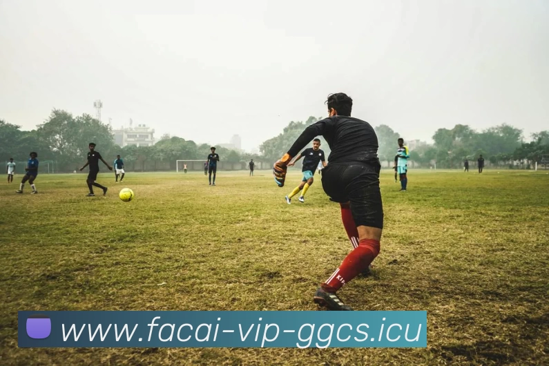 App Interface Preview