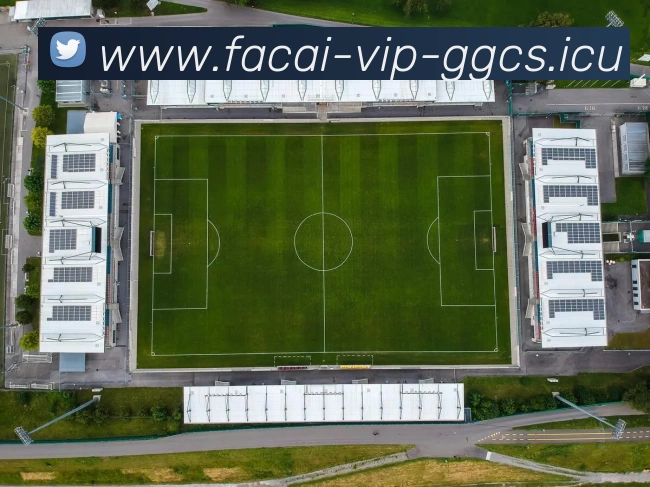 开云体育APP 封面图